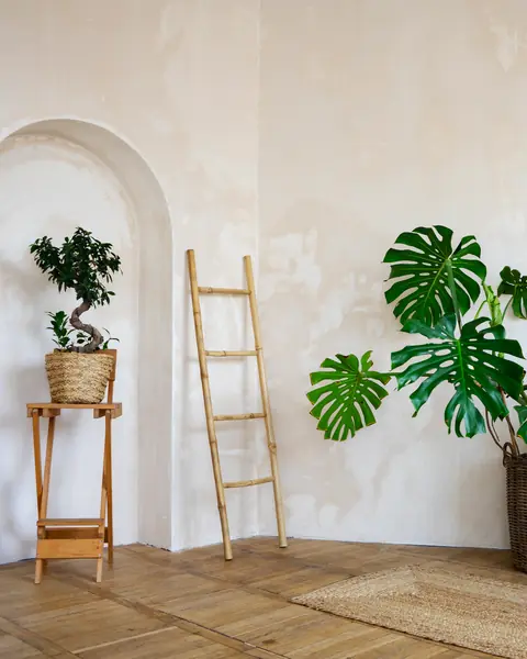 L'ingresso dello showroom: una nicchia ad arco nell'intonaco, una scala di bambù e una monstera in un cesto